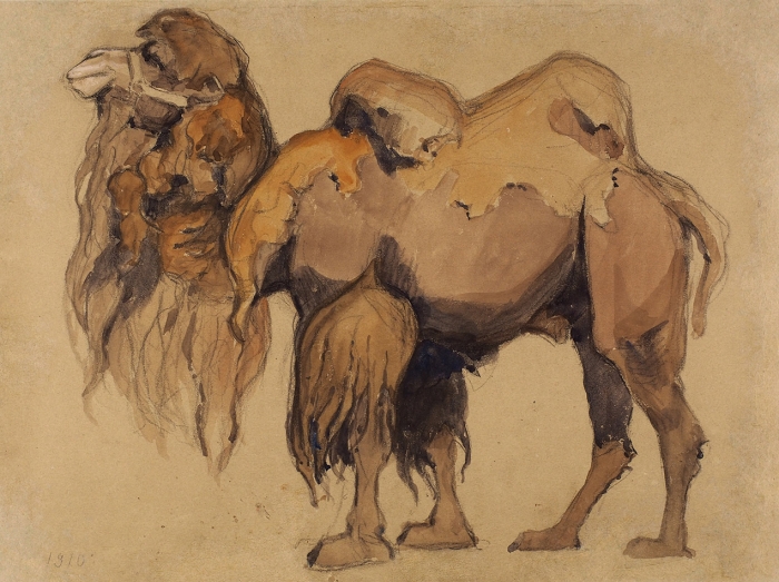 Ватагин Василий Алексеевич (1884–1969) «Верблюд». 1910. Бумага, графитный карандаш, акварель, 24,5x33 см.