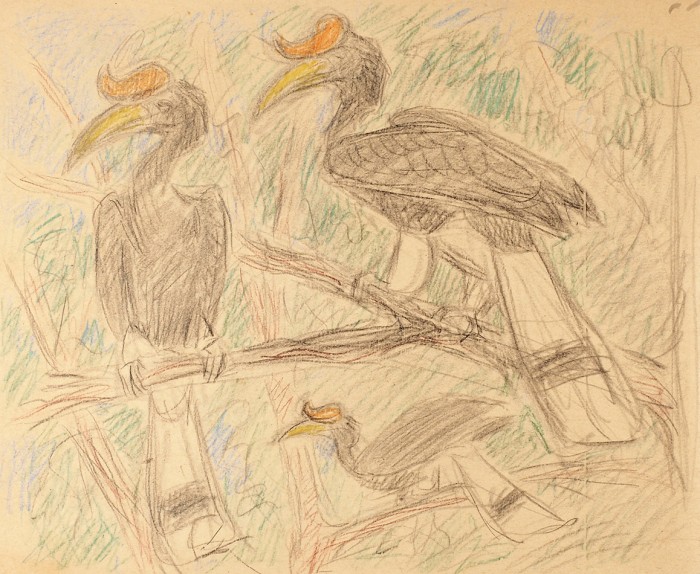 Ватагин Василий Алексеевич (1884–1969) «Птицы». 1950-е. Бумага, цветные карандаши, 20,5x24,5 см.